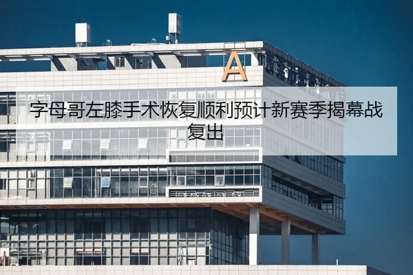 字母哥左膝手术恢复顺利预计新赛季揭幕战复出